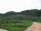 IMG_3512.jpg