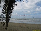 IMG_3535.jpg