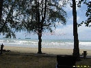 IMG_3536.jpg