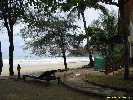 IMG_3537.jpg