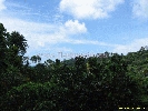 IMG_3538.jpg