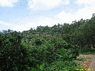 IMG_3539.jpg