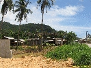 IMG_3543.jpg