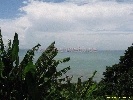 IMG_3545.jpg