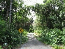 IMG_3546.jpg