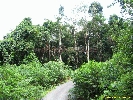 IMG_3547.jpg