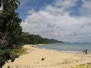 IMG_3549.jpg