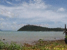 IMG_3553.jpg