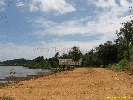 IMG_3555.jpg