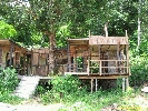 IMG_3556.jpg