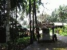IMG_3557.jpg