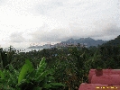 IMG_3561.jpg