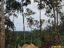 IMG_3569.jpg