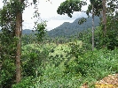 IMG_3571.jpg