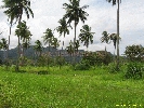 IMG_3573.jpg