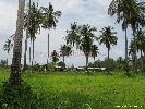 IMG_3574.jpg