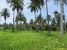 IMG_3575.jpg