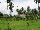 IMG_3576.jpg