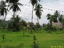 IMG_3577.jpg