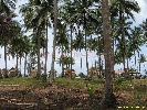 IMG_3604.jpg