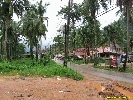 IMG_3607.jpg