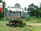 IMG_3136.jpg