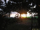 IMG_3247.jpg