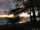 IMG_3250.jpg