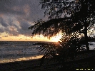 IMG_3256.jpg