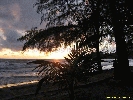 IMG_3257.jpg