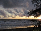 IMG_3259.jpg