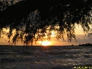 IMG_3261.jpg