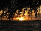 IMG_3262.jpg
