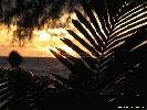 IMG_3263.jpg