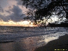 IMG_3267.jpg
