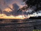 IMG_3271.jpg