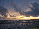 IMG_3272.jpg