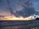 IMG_3273.jpg