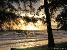 IMG_3431.jpg