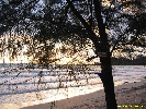 IMG_3432.jpg