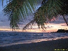IMG_3515.jpg