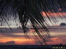 IMG_3516.jpg