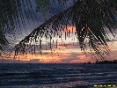 IMG_3517.jpg
