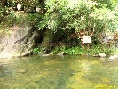 IMG_3112.jpg