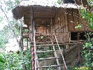 IMG_3216.jpg