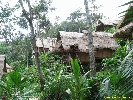 IMG_3217.jpg