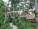 IMG_3218.jpg