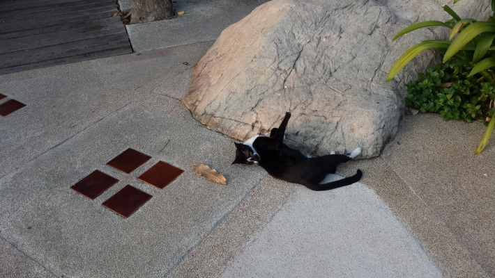 20131208_171941.jpg
