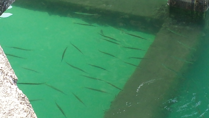 20131211_105440.jpg