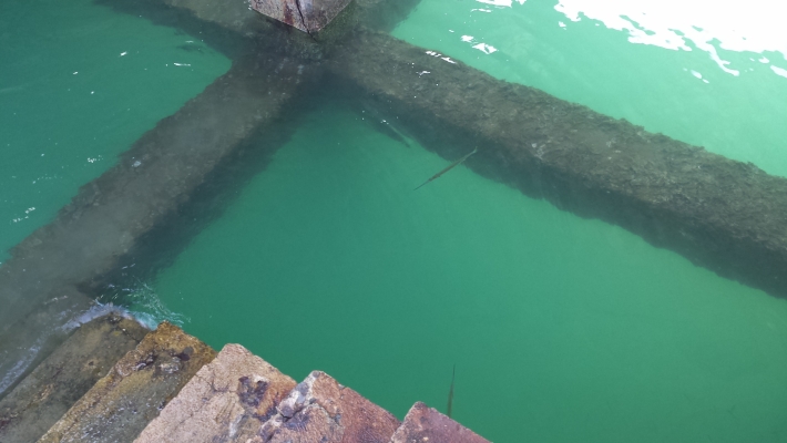 20131211_105544.jpg